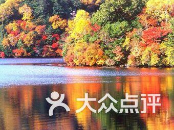 谁知道哪个网可以进去聊天和推广货源的吗？游戏画面